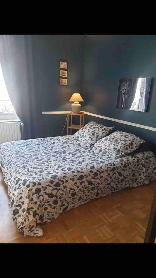 Duplex 4 Couchages Chaleureux Gare Sur Place Nogent-l'Artaud Екстериор снимка